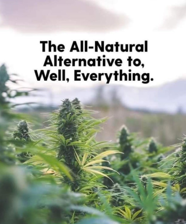 cannabis in the sunshine